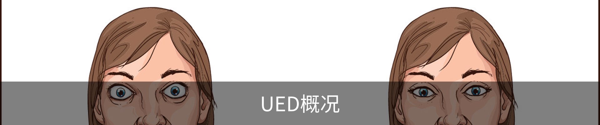 UED概况